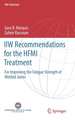 IIW Recommendations for the HFMI Treatment: For Improving the Fatigue Strength of Welded Joints