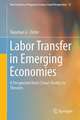 Labor Transfer in Emerging Economies: A Perspective from China’s Reality to Theories