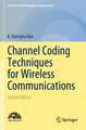 Channel Coding Techniques for Wireless Communications