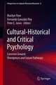 Cultural-Historical and Critical Psychology: Common Ground, Divergences and Future Pathways