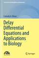 Delay Differential Equations and Applications to Biology