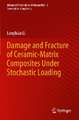 Damage and Fracture of Ceramic-Matrix Composites Under Stochastic Loading