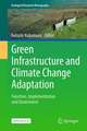 Green Infrastructure and Climate Change Adaptation: Function, Implementation and Governance