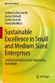 Sustainable Excellence in Small and Medium Sized Enterprises: Continuous Improvement Approaches that Matter