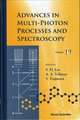 Advances in Multi-Photon Processes and Spectroscopy, Volume 19