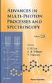 Advances in Multi-Photon Processes and Spectroscopy