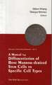 A Manual for Differentiation of Bone Marrow-Derived Stem Cells to Specific Cell Types