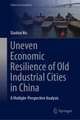 Uneven Economic Resilience of Old Industrial Cities in China: A Multiple-Perspective Analysis 