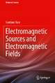 Electromagnetic Sources and Electromagnetic Fields