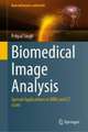 Biomedical Image Analysis: Special Applications in MRIs and CT scans