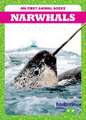 Narwhals