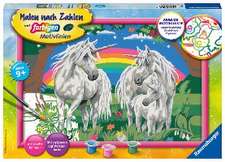 Fabelhafte Einhornwelt Malen nach Zahlen Serie C