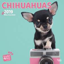 CHIHUAHUAS BY STUDIO P 2019 SQUARE WALL