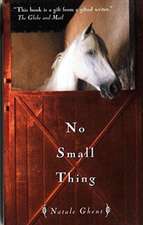 No Small Thing