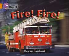 Haselhurst, M: Fire! Fire!