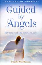 GUIDE BY ANGELS PB
