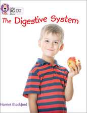 BIG CAT - DIGESTIVE SYSTEM