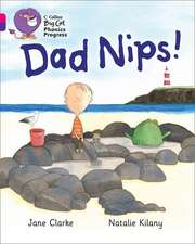 BIG CAT PHONICS_DAD NIPS