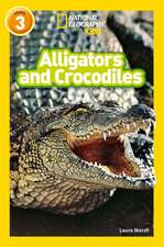 Alligators and Crocodiles