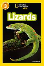 Lizards