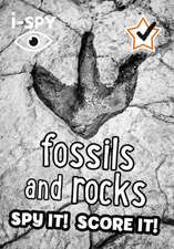 i-SPY Fossils and Rocks