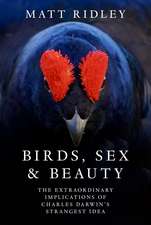 Birds, Sex And Beauty