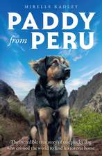 Paddy from Peru