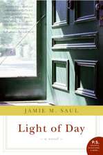 Light of Day: A Novel