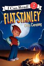 Flat Stanley Goes Camping