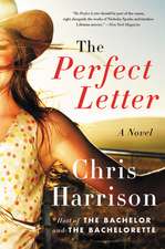 The Perfect Letter: A Novel