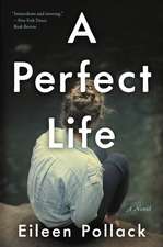 A Perfect Life: A Novel