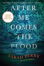 After Me Comes the Flood: A Novel