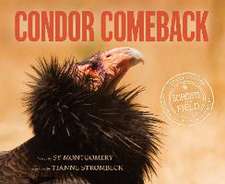 Condor Comeback