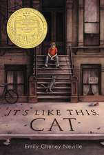 It's Like This, Cat: A Newbery Award Winner