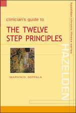 Clinician's Guide to the 12 Step Principles