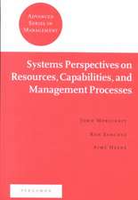 Systems Perspectives on Resources, Capabilities, and Management Processes