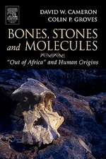 Bones, Stones and Molecules: 