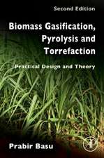 Biomass Gasification, Pyrolysis and Torrefaction: Practical Design and Theory