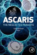 Ascaris