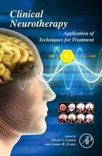 Clinical Neurotherapy: Application of Techniques for Treatment