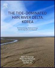 The Tide-Dominated Han River Delta, Korea: Geomorphology, Sedimentology, and Stratigraphic Architecture