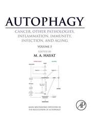 Autophagy: Cancer, Other Pathologies, Inflammation, Immunity, Infection, and Aging: Volume 5 - Role in Human Diseases