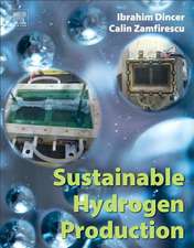 Sustainable Hydrogen Production