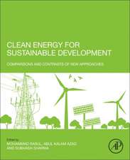 Clean Energy for Sustainable Development: Comparisons and Contrasts of New Approaches