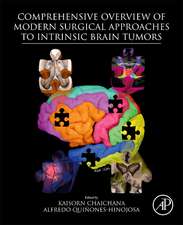 Comprehensive Overview of Modern Surgical Approaches to Intrinsic Brain Tumors