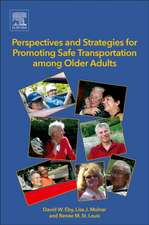 Perspectives and Strategies for Promoting Safe Transportation Among Older Adults