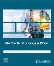 Life Cycle of a Process Plant