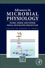 Nitric Oxide and Other Small Signalling Molecules