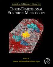 Three-Dimensional Electron Microscopy