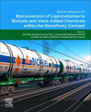 Recent Advances in Bioconversion of Lignocellulose to Biofuels and Value Added Chemicals within the Biorefinery Concept